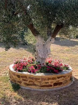 Dora'S Garden Villa Alexandroupoli Exterior photo