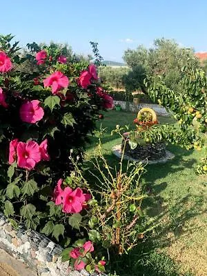 Dora'S Garden Villa Alexandroupoli Exterior photo