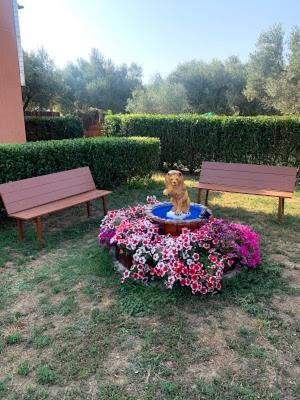 Dora's Garden