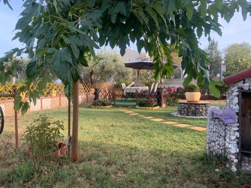 Dora's Garden *