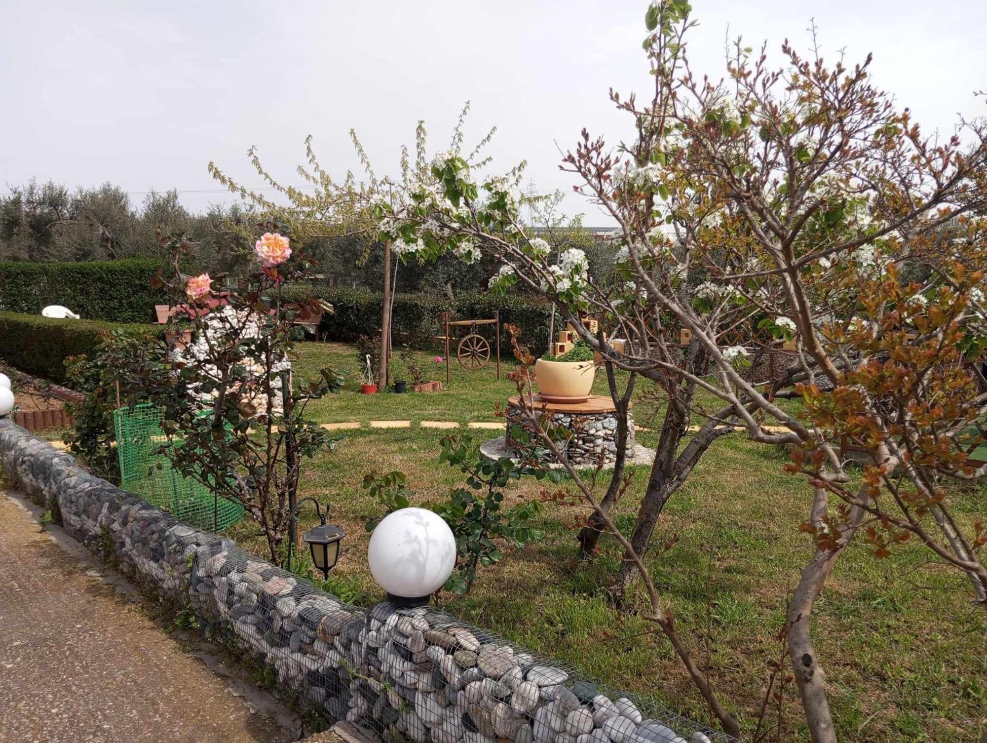 Apartment Dora's Garden