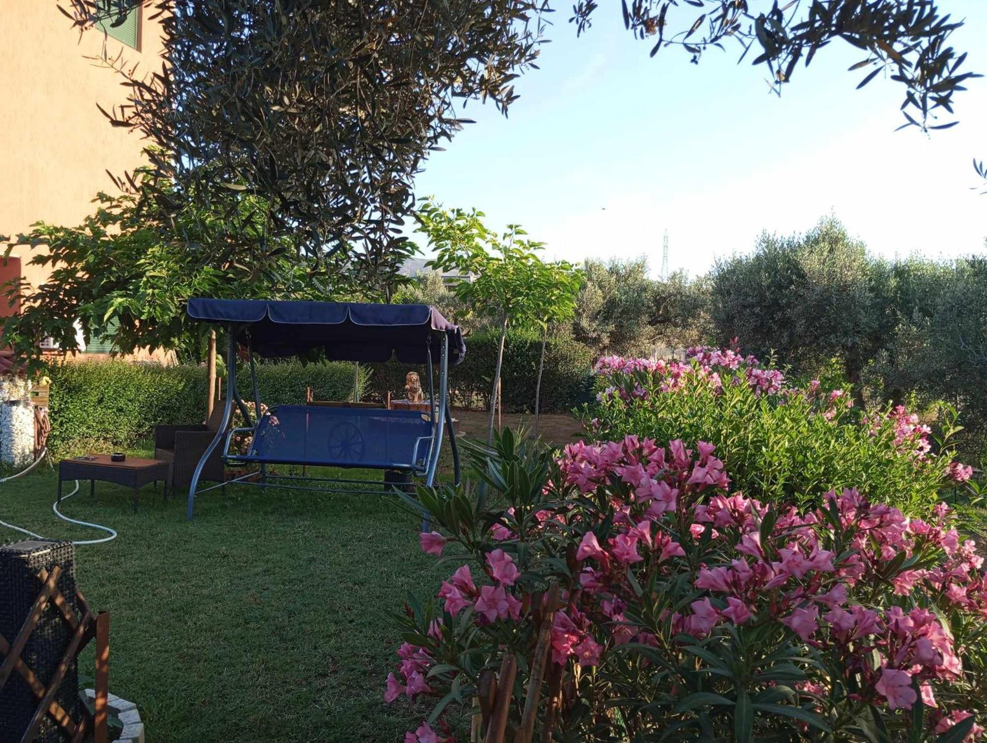 Dora's Garden *
