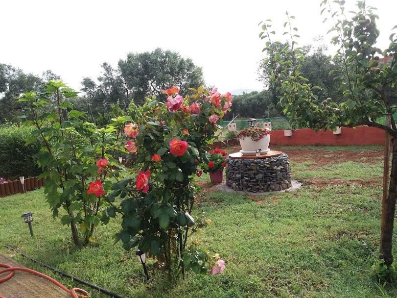 Dora's Garden Διαμέρισμα Αλεξανδρούπολη