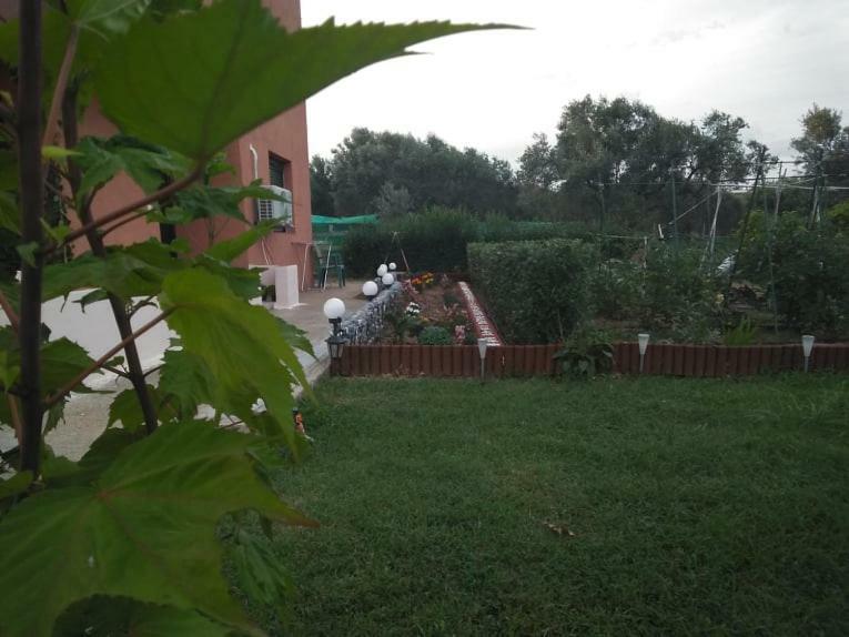Apartment Dora's Garden Alexandroupoli