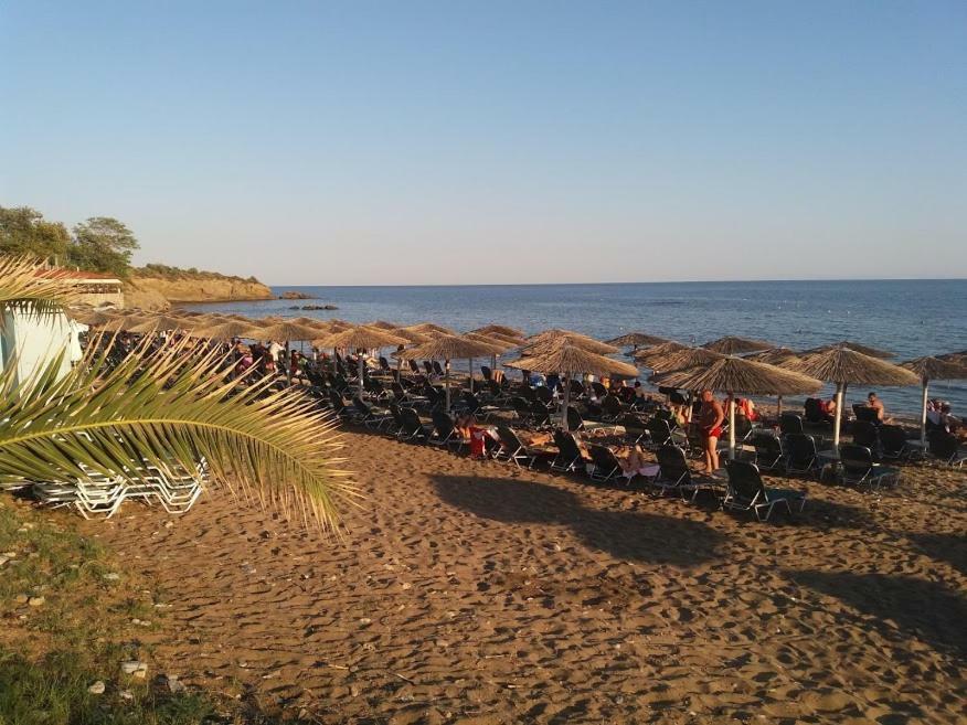 Dora's Garden Alexandroupoli